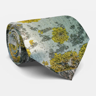 Photo of Real Aspen Tree Bark - Natural Amulet Tie