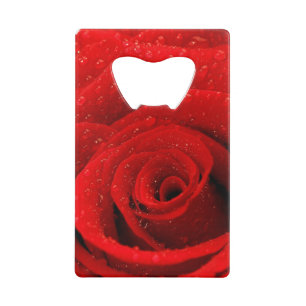 Photo of Red Rose Background