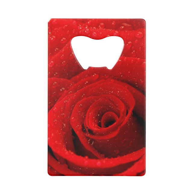 Photo of Red Rose Background (Front)