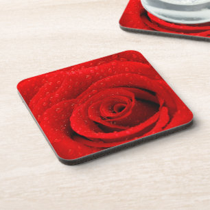 Photo of Red Rose Background Coaster