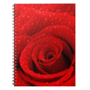 Photo of Red Rose Background Spiral Notebook