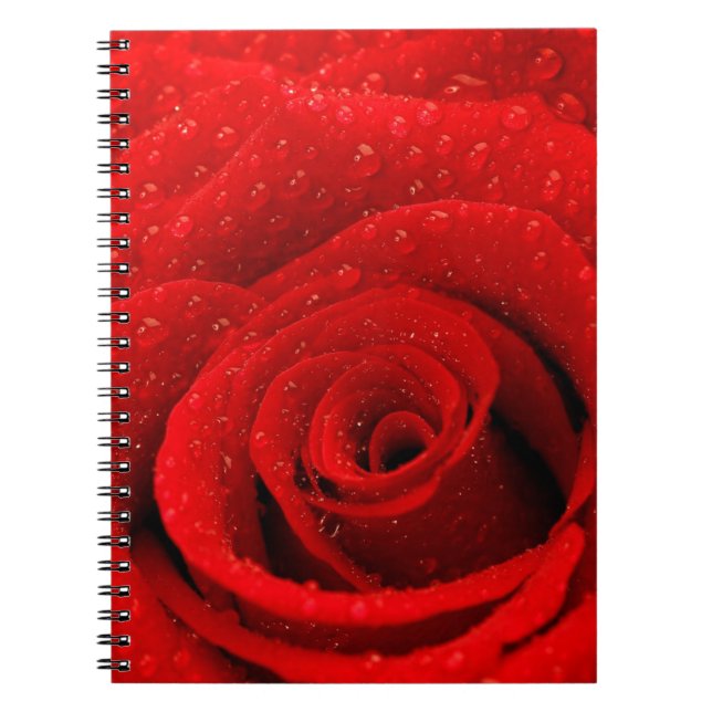 Photo of Red Rose Background Spiral Notebook (Front)