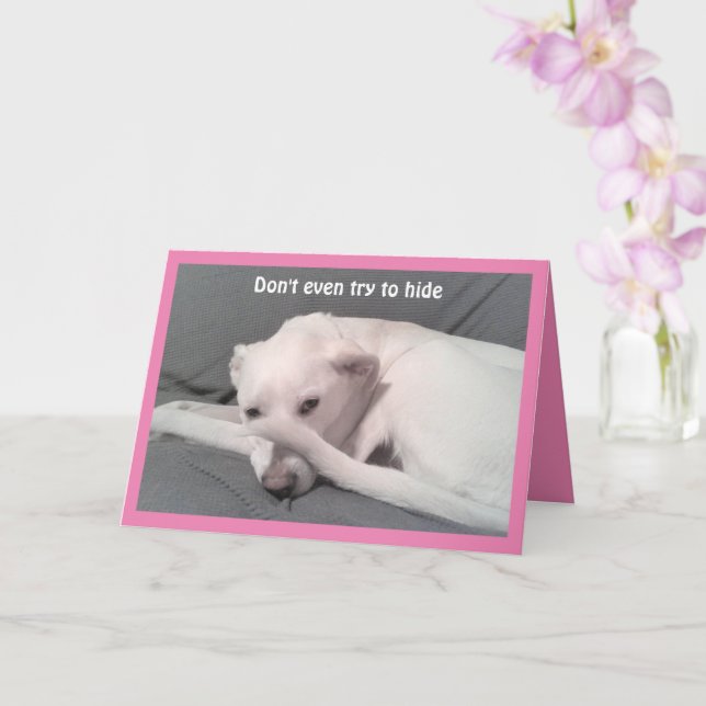 Photo of Sad Dog Hiding Behind Tail 40th Birthday Card (Orchid)