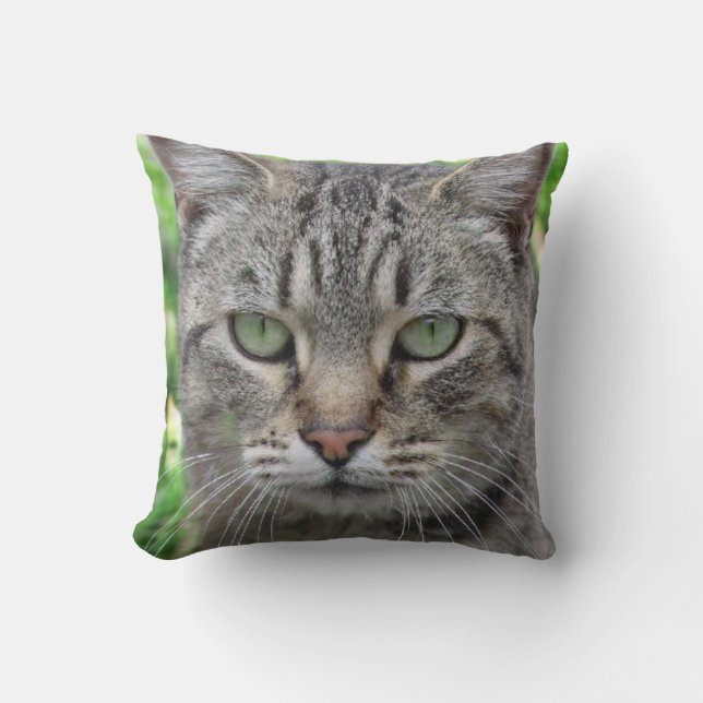 Photo of the wonderful tiger cat - cat lovers cushion (Front)
