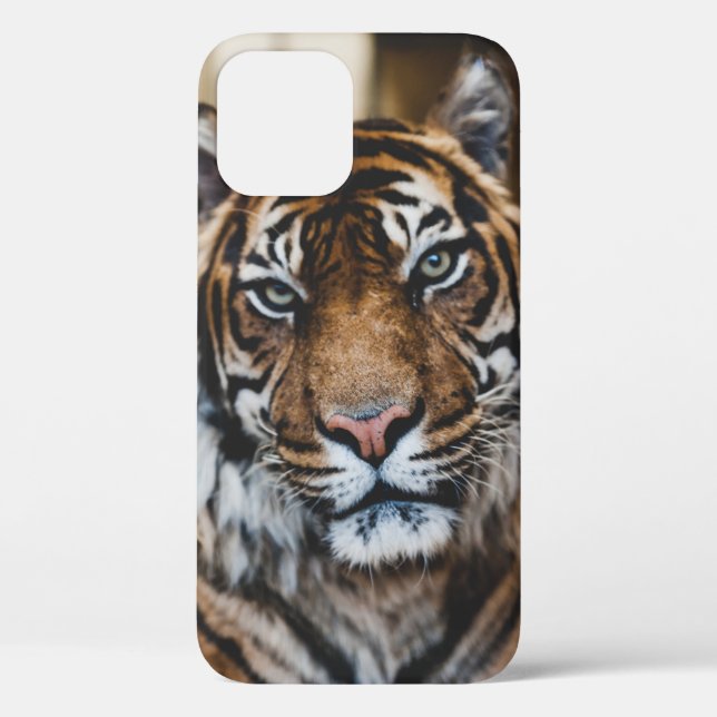 PHOTO OF TIGER'S FACE Case-Mate iPhone CASE (Back)