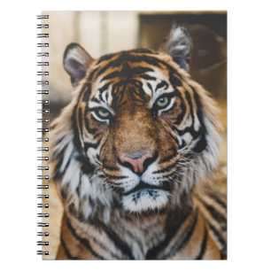 PHOTO OF TIGER'S FACE NOTEBOOK
