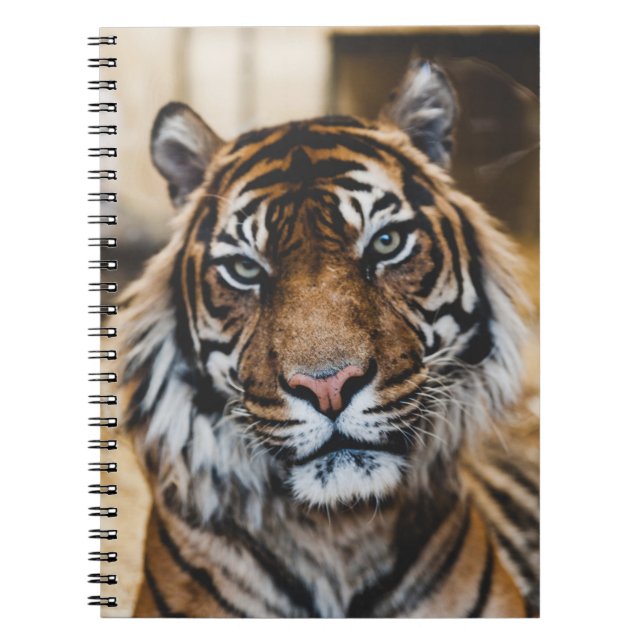 PHOTO OF TIGER'S FACE NOTEBOOK (Front)