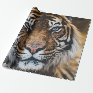 PHOTO OF TIGER'S FACE WRAPPING PAPER
