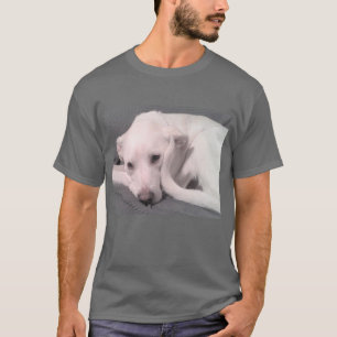 Photo of White Cute Dog With Curvy Tail Grey T-Shirt