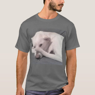 Photo of White Dog With Tail Covering Face Hiding T-Shirt