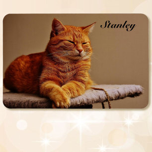 Photo of Your Pet Template Add Name 4 x 6 Magnet