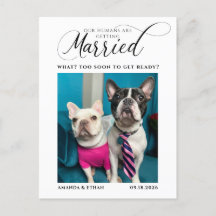 Photo Our Humans Getting Married Save the Date