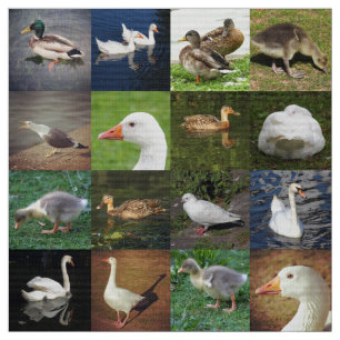 Photo Patchwork - Birds Fabric