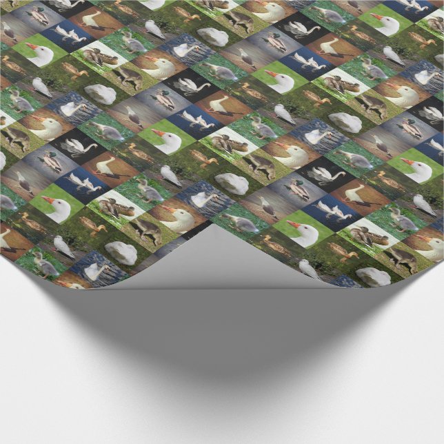 Photo Patchwork - Birds Wrapping Paper (Corner)