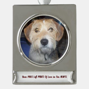 PHOTO PAWS OF GRACE Cherished Memories Silver Plated Banner Ornament