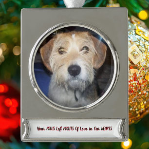  PHOTO PAWS OF GRACE Cherished Memories Silver Plated Banner Ornament