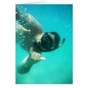 photo perfect snorkelling