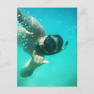 photo perfect snorkelling postcard