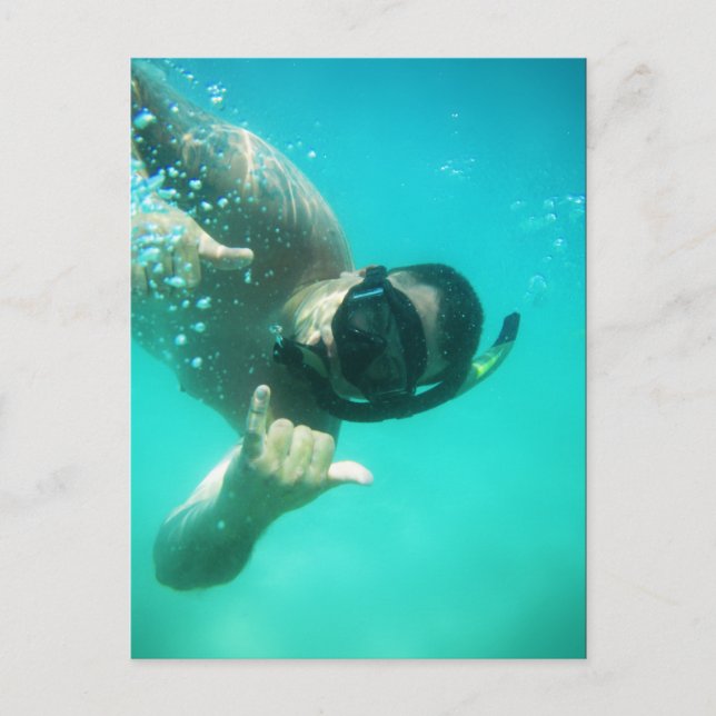 photo perfect snorkelling postcard (Front)