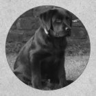 Photo Personalised Custom