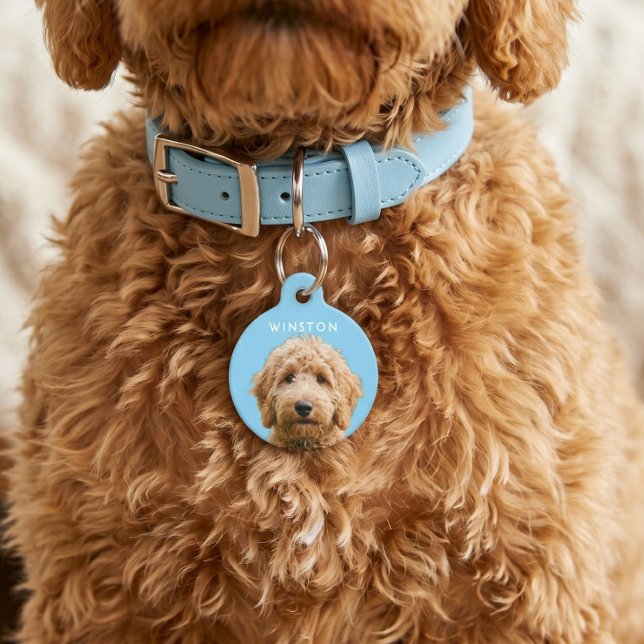 Photo Personalised Dogs Name - READ DESCRIPTION Pet Tag (Photo Personalized Dogs Name - READ DESCRIPTION Pet ID Tag by Ricaso - Easy remove background )