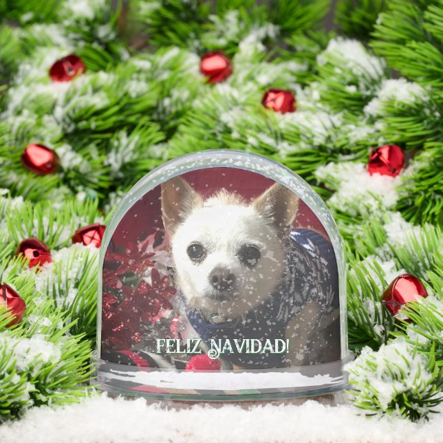 Photo pet child family baby vacation Snow Globe (Christmas)