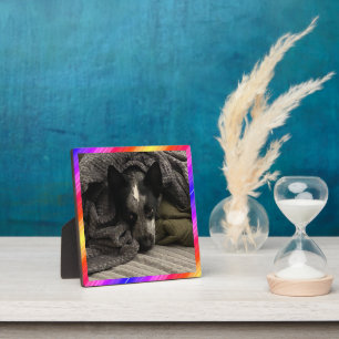 Photo Plaque Neon Border HAMbWG