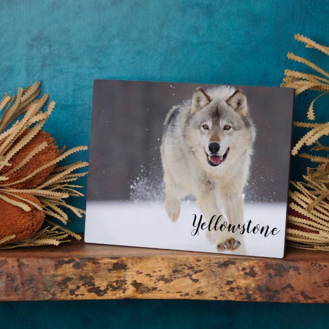 Photo Plaque-Yellowstone Wolf Plaque (Side)