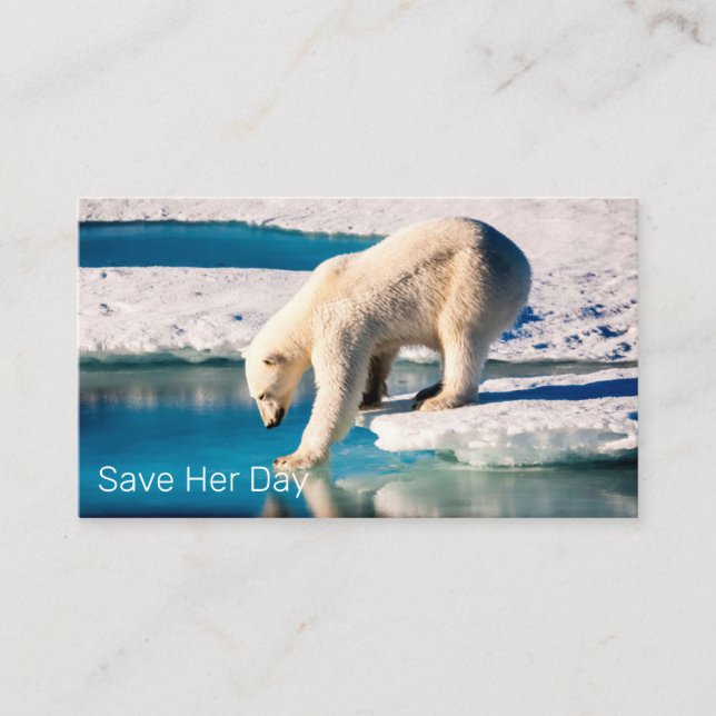 Photo Polar Bear Blue White Inspiration Nature Business Card (Front)