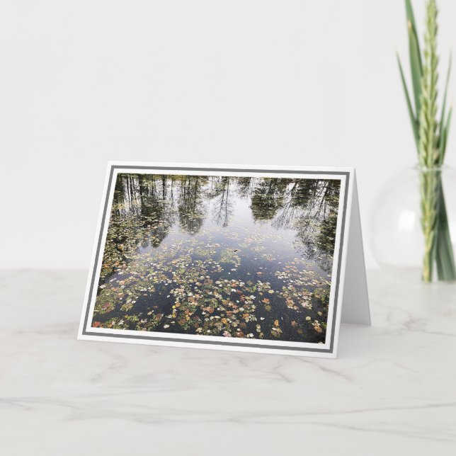 Photo Pond With Leaves and Tree Reflections Card (Front)