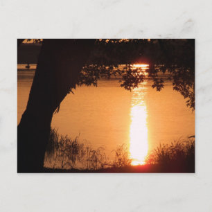 Photo Postcard - Customised