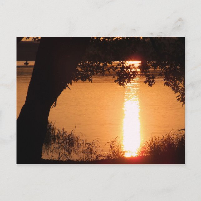 Photo Postcard - Customised (Front)