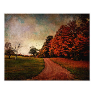 Photo Print-Mere Colour Print