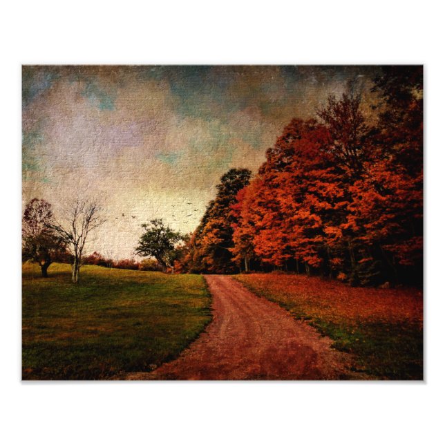 Photo Print-Mere Colour Print (Front)