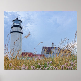 photo print of the Cape Cod Light House