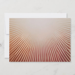 Photo Prints Invitation