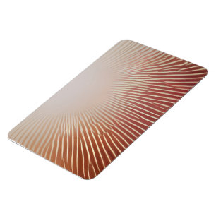 Photo Prints Magnet