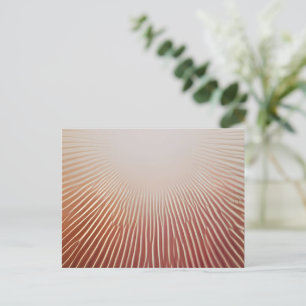 Photo Prints Postcard