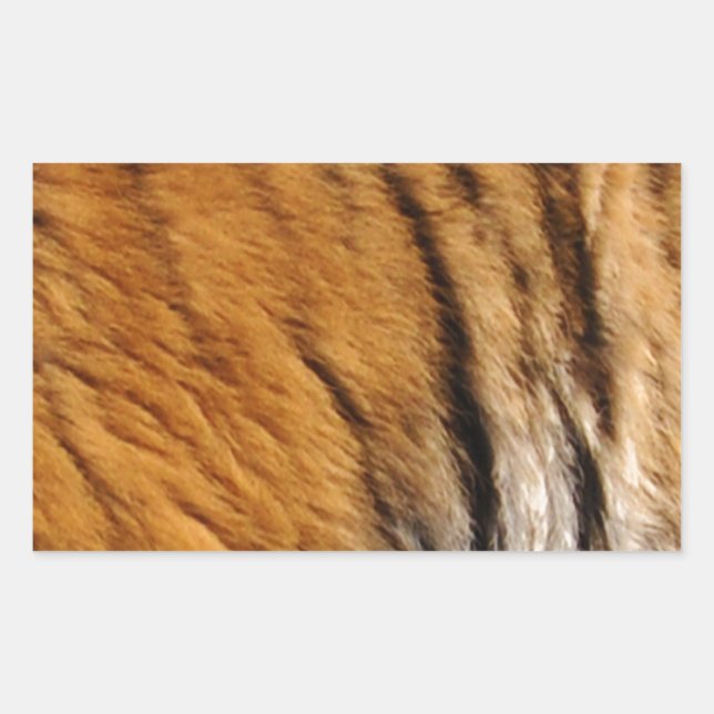 Photo-sampled Tiger Stripes Big Cat Wildlife Rectangular Sticker (Front)