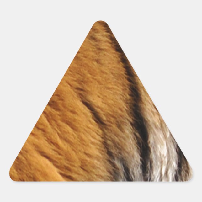 Photo-sampled Tiger Stripes Big Cat Wildlife Triangle Sticker (Front)