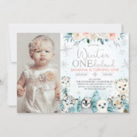 Photo Silver Arctic Winter Onederland Birthday