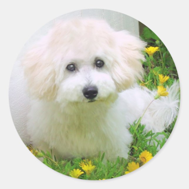 Photo Stickers (Front)