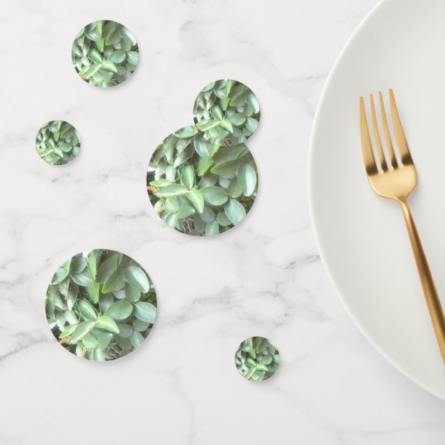 Photo Table Confetti (Group)