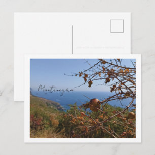 Photo Travel Postcard Montenegro
