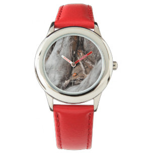 Photo watch of a ladybird
