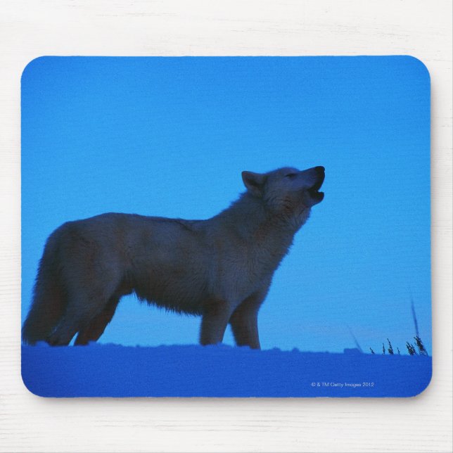 Photo, white wolf howling at night, Colour, High Mouse Pad (Front)