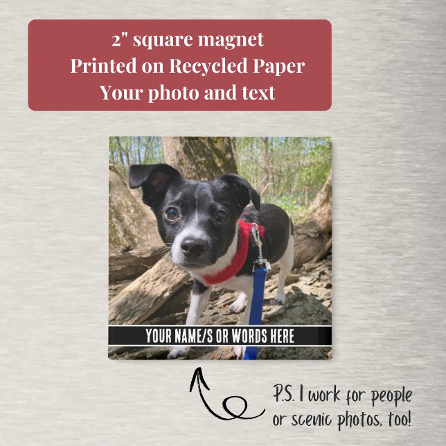 Photo with Customisation at Bottom Modern Magnet (Your custom text and pet photo make this square magnet a perfect, inexpensive gift.)