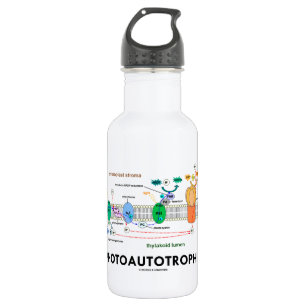 Photoautotrophile Photosynthesis 532 Ml Water Bottle