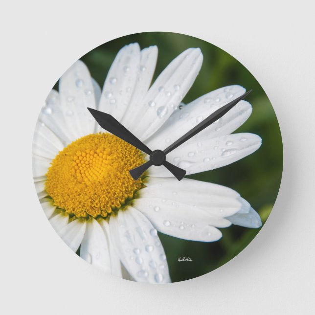 photograph, a margueritte, make green round clock (Front)
