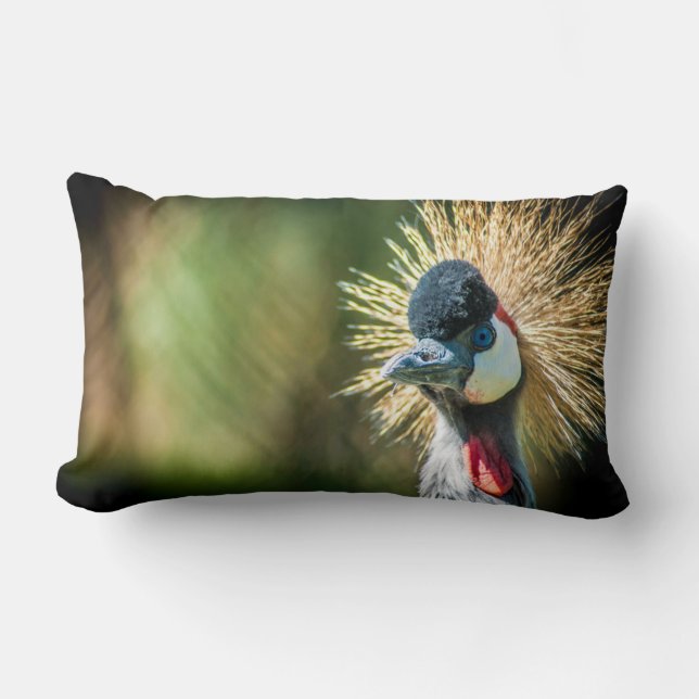 Photograph cushion of bird (Front)